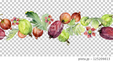 Gooseberry Currant garden berries leaves flowers in water dew drops hand drawn in watercolor. Seamless isolated banner garland. Home preserves, textile stationery, food store decor, recipe book, menu Gooseberry Currant garden berries leaves flowers in water dew drops hand drawn in watercolor. Seamless isolated banner garland. Home preserves, textile stationery, food store decor, recipe book, menu 125209813