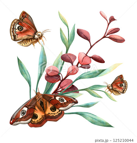 Butterflies monarch with floral arrangement. Watercolor hand-drawn elegant botanical illustration Romantic composition, perfect for vintage, natural design, seasonal spring or summer event decoration 125210044