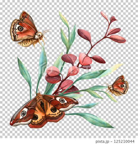 Butterflies monarch with floral arrangement. Watercolor hand-drawn elegant botanical illustration Romantic composition, perfect for vintage, natural design, seasonal spring or summer event decoration 125210044