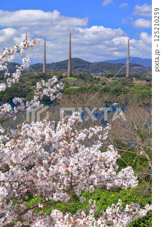 【長崎県】満開の桜と針尾送信所(針尾瀬戸) 【長崎県】満開の桜と針尾送信所(針尾瀬戸) 125210259