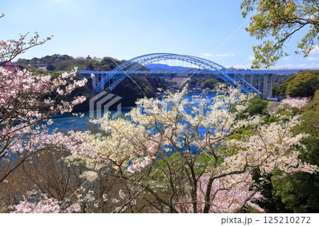 【長崎県】満開の桜と新西海橋(針尾瀬戸) 【長崎県】満開の桜と新西海橋(針尾瀬戸) 125210272