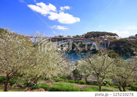【長崎県】満開の桜と西海橋(針尾瀬戸) 【長崎県】満開の桜と西海橋(針尾瀬戸) 125210278
