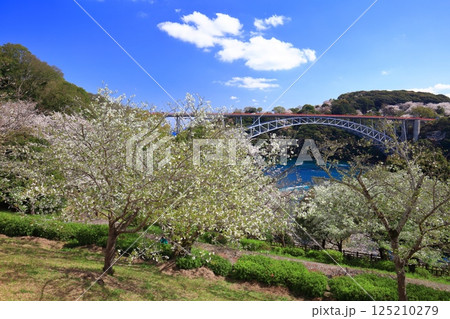 【長崎県】満開の桜と西海橋(針尾瀬戸) 【長崎県】満開の桜と西海橋(針尾瀬戸) 125210279