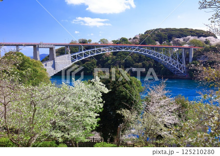 【長崎県】満開の桜と西海橋（針尾瀬戸） 125210280