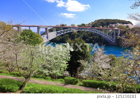 【長崎県】満開の桜と西海橋（針尾瀬戸） 125210281