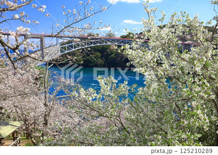 【長崎県】満開の桜と西海橋(針尾瀬戸) 【長崎県】満開の桜と西海橋(針尾瀬戸) 125210289