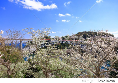 【長崎県】満開の桜と西海橋(針尾瀬戸) 【長崎県】満開の桜と西海橋(針尾瀬戸) 125210290