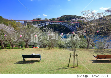 【長崎県】満開の桜と西海橋（針尾瀬戸） 125210291