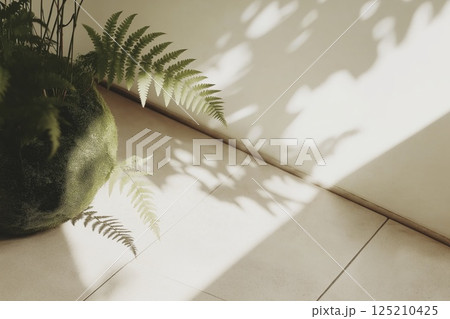 Sunlit fern shadows on minimalistic interior tiles 125210425
