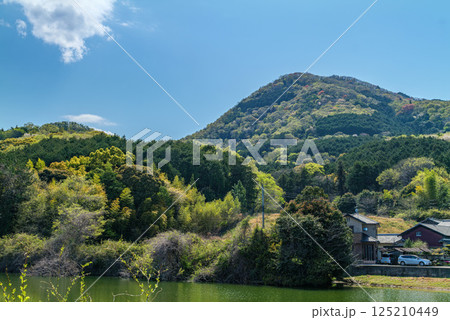 二上山麓 加守南池から桜咲く二上山雄岳 2025年4月14日 125210449