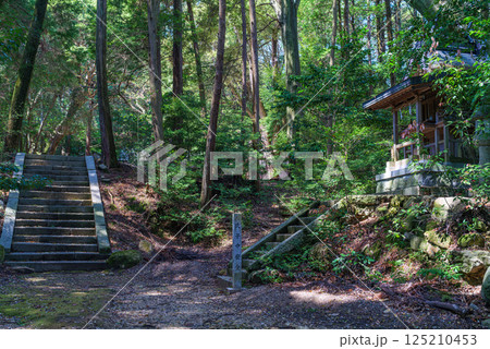 二上山麓 式内大社當麻山口神社 春日若宮神社 2025年4月14日 二上山麓 式内大社當麻山口神社 春日若宮神社 2025年4月14日 125210453
