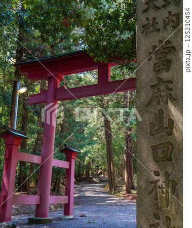 二上山麓 式内大社當麻山口神社 参道 2025年4月14日 二上山麓 式内大社當麻山口神社 参道 2025年4月14日 125210454