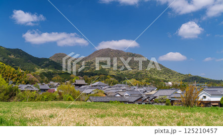 二上山麓 二上山 雄岳雌岳と中将姫伝説の當麻寺 2025年4月14日 二上山麓 二上山 雄岳雌岳と中将姫伝説の當麻寺 2025年4月14日 125210457