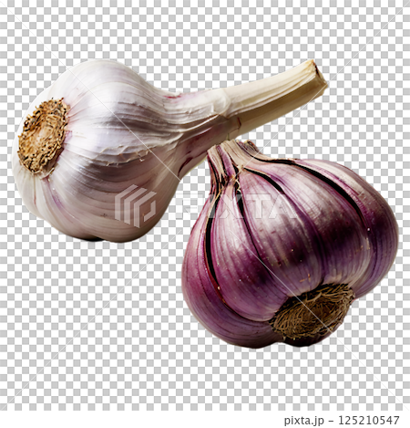 garlic on transparent background garlic on transparent background 125210547