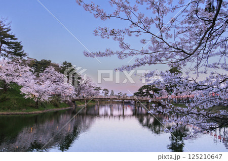 桜満開の高田城址公園 夜桜ライトアップ 桜満開の高田城址公園 夜桜ライトアップ 125210647