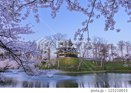 桜満開の高田城址公園 夜桜ライトアップ 125210655