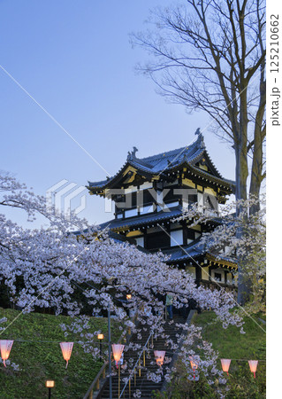 桜満開の高田城址公園 夜桜ライトアップ 桜満開の高田城址公園 夜桜ライトアップ 125210662