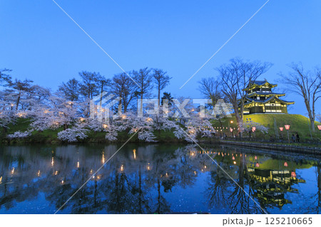桜満開の高田城址公園 夜桜ライトアップ 125210665