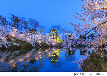 桜満開の高田城址公園 夜桜ライトアップ 桜満開の高田城址公園 夜桜ライトアップ 125210667