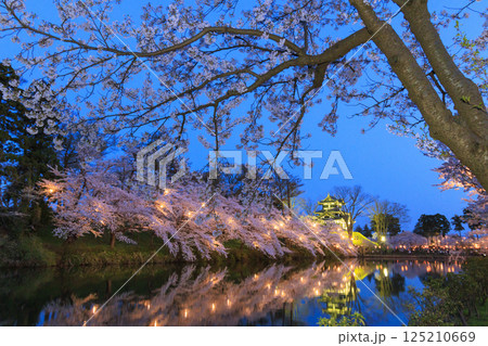 桜満開の高田城址公園 夜桜ライトアップ 125210669