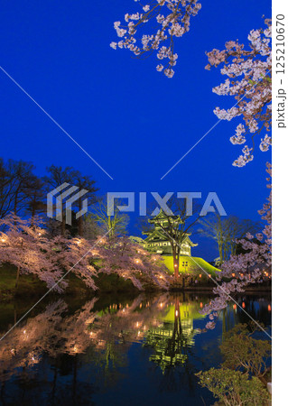桜満開の高田城址公園 夜桜ライトアップ 125210670