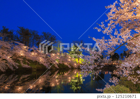 桜満開の高田城址公園 夜桜ライトアップ 125210671
