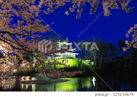 桜満開の高田城址公園 夜桜ライトアップ 125210674