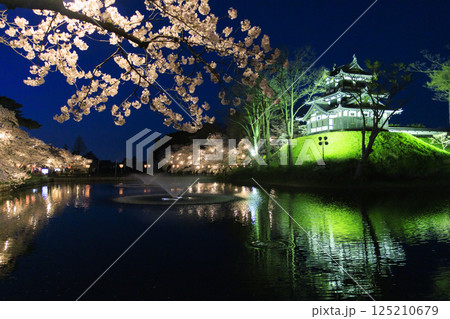 桜満開の高田城址公園 夜桜ライトアップ 桜満開の高田城址公園 夜桜ライトアップ 125210679