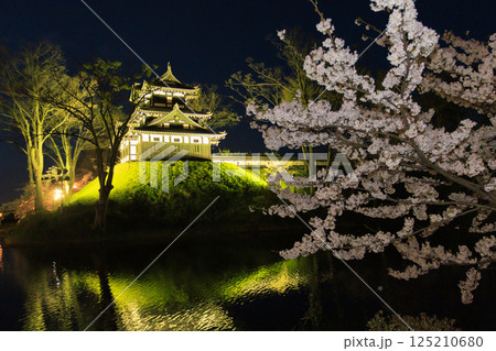 桜満開の高田城址公園 夜桜ライトアップ 桜満開の高田城址公園 夜桜ライトアップ 125210680
