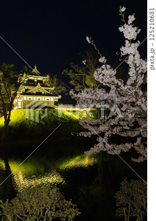桜満開の高田城址公園 夜桜ライトアップ 桜満開の高田城址公園 夜桜ライトアップ 125210681