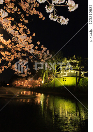 桜満開の高田城址公園 夜桜ライトアップ 桜満開の高田城址公園 夜桜ライトアップ 125210683