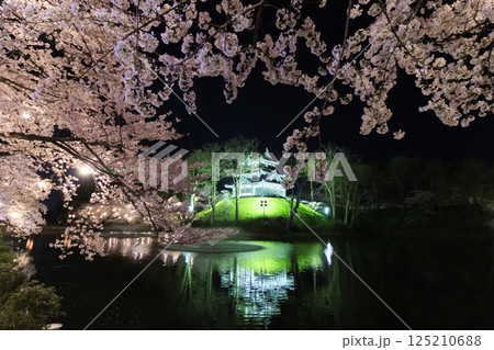 桜満開の高田城址公園 夜桜ライトアップ 125210688