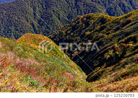 飯豊連峰・ダイグラ尾根から見る紅葉の山肌 125210703