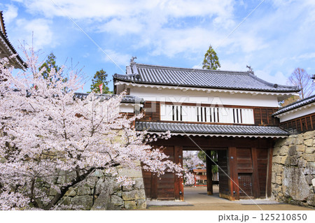 桜満開の上田城址公園 125210850