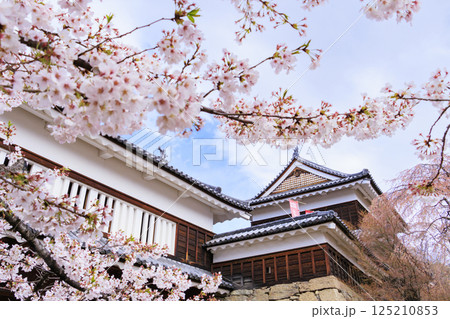 桜満開の上田城址公園 125210853