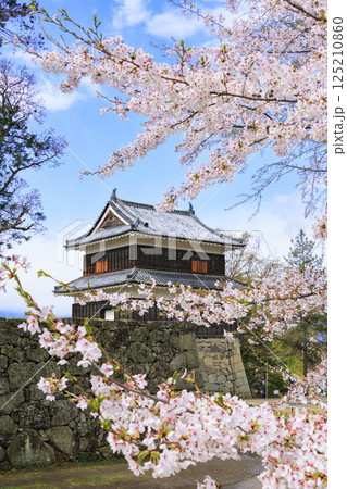桜満開の上田城址公園 125210860