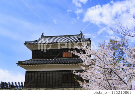 桜満開の上田城址公園 125210863