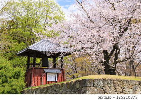 桜満開の上田城址公園 125210875
