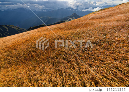 飯豊連峰・門内岳の草紅葉と夕暮れの山並み 飯豊連峰・門内岳の草紅葉と夕暮れの山並み 125211335