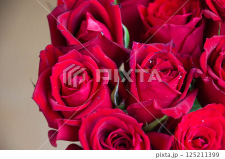 赤いばら 赤いばら 125211399