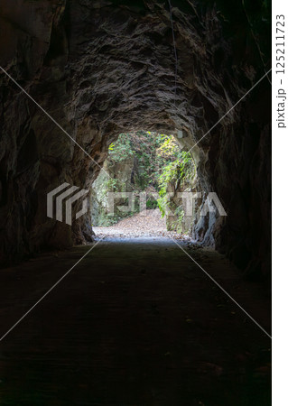 三之宮峡　手掘りのトンネル　宮崎県小林市 125211723