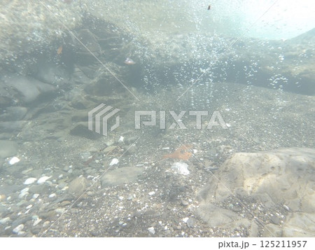清流の気泡 清流の気泡 125211957