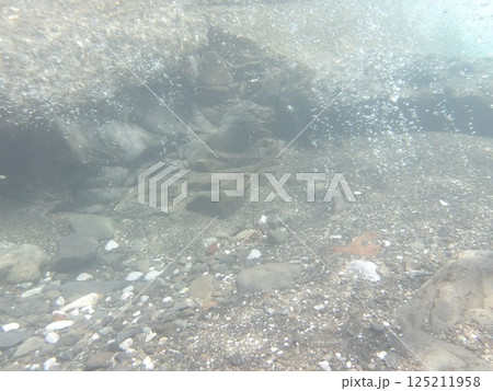 清流の気泡 清流の気泡 125211958