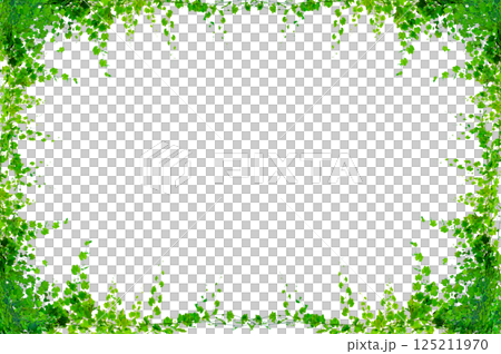 vine frame leaf vine circle Isolate on transparent background PNG file vine frame leaf vine circle Isolate on transparent background PNG file 125211970