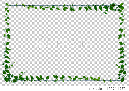 vine frame leaf vine circle Isolate on transparent background PNG file 125211972