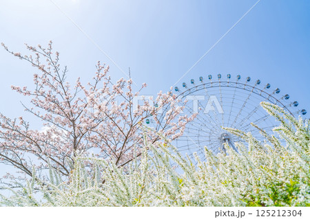 愛・地球博記念公園、大観覧車と満開の桜〈愛知県長久手市〉 125212304