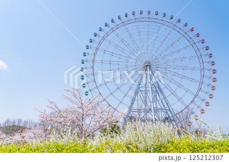 愛・地球博記念公園、大観覧車と満開の桜〈愛知県長久手市〉 125212307