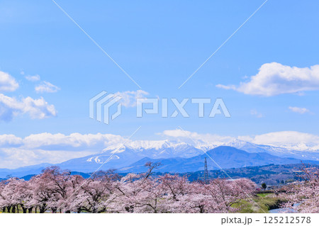 一目千本桜 宮城県 大河原町 一目千本桜 宮城県 大河原町 125212578