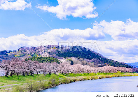 一目千本桜　宮城県　大河原町 125212622