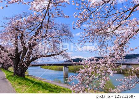 一目千本桜　宮城県　大河原町 125212697